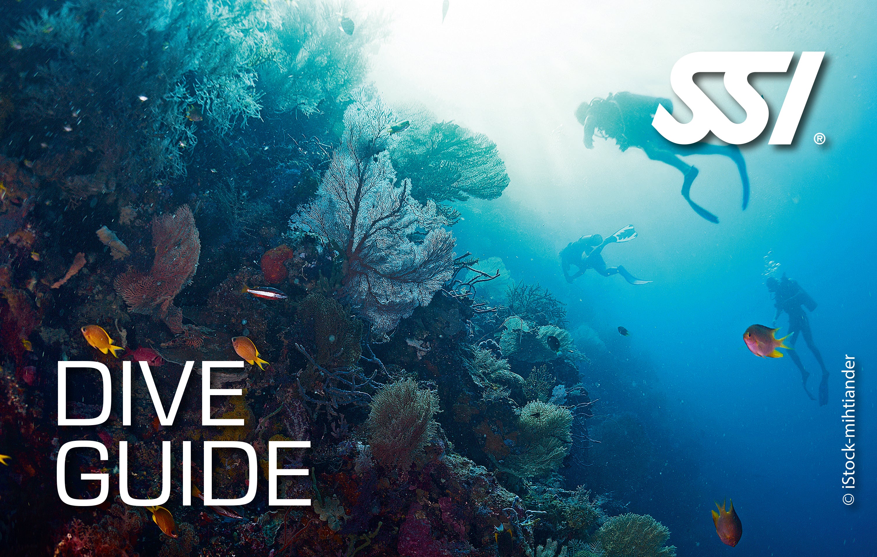 Dive Guide / Divemaster