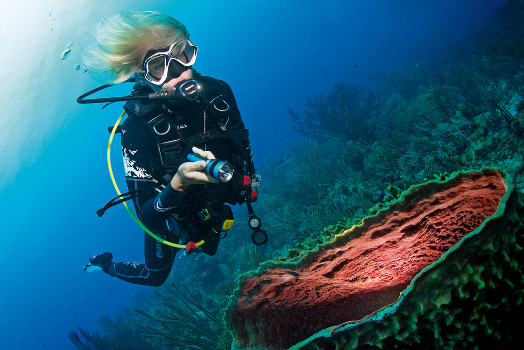 Dive Looe Gift Card