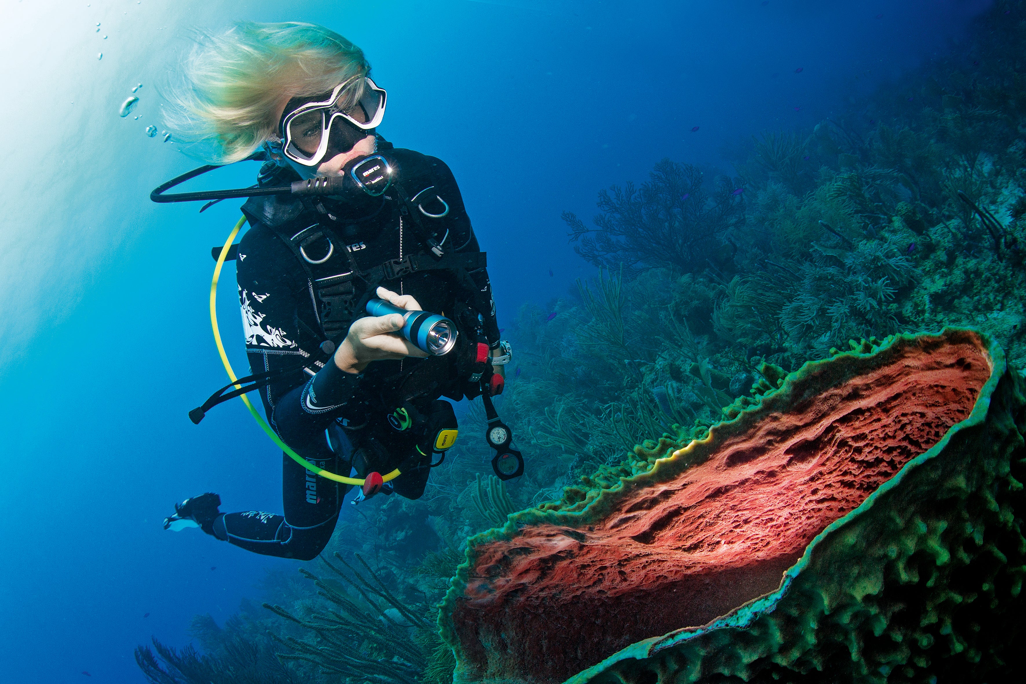 Dive Looe Gift Card