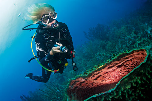 Dive Looe Gift Card