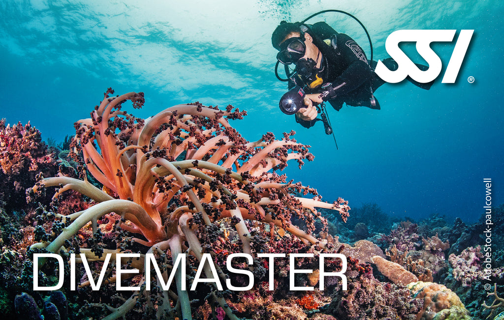 Dive Guide / Divemaster