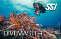 Dive Guide / Divemaster