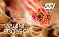 Marine Ecology