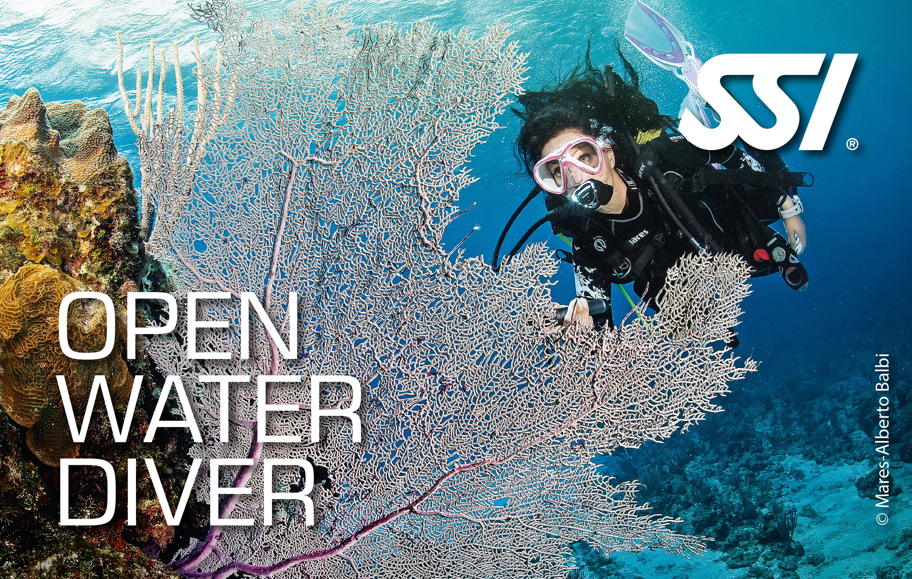 Open Water Diver 1:1 course