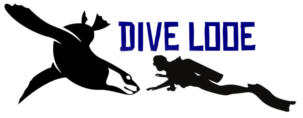 Dive Looe Gift Card